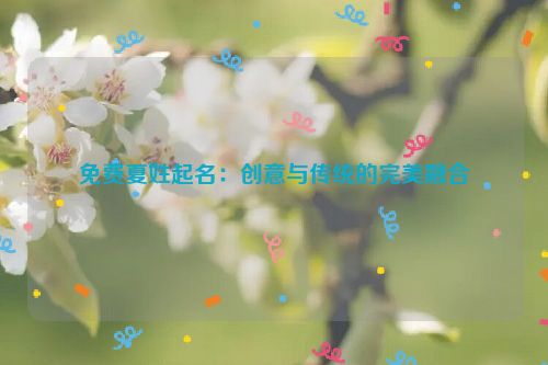 免费夏姓起名：创意与传统的完美融合