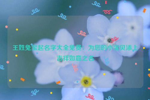 王姓兔宝起名字大全免费：为您的小宝贝添上吉祥如意之名