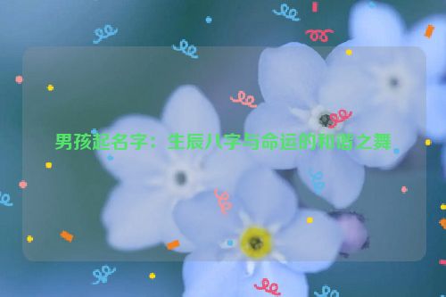 男孩起名字：生辰八字与命运的和谐之舞