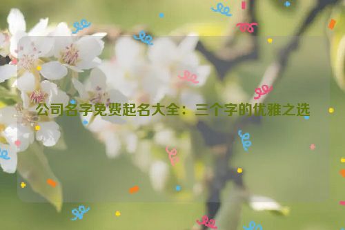 公司名字免费起名大全：三个字的优雅之选