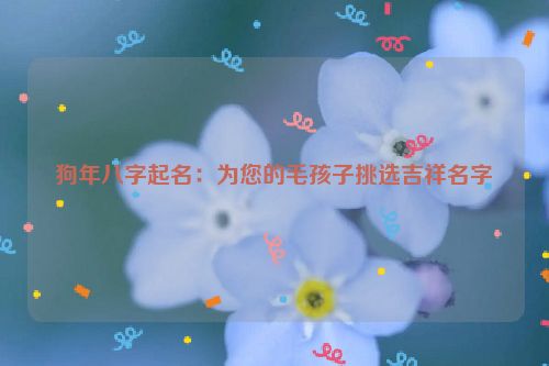 狗年八字起名：为您的毛孩子挑选吉祥名字