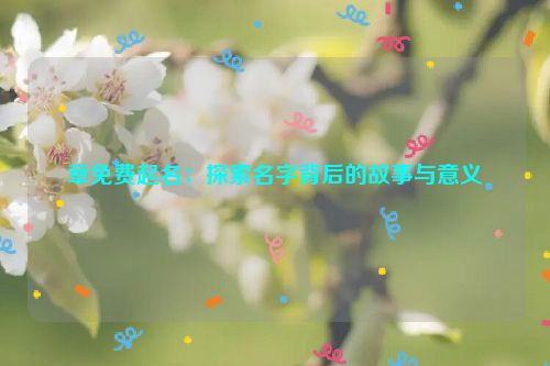 章免费起名：探索名字背后的故事与意义