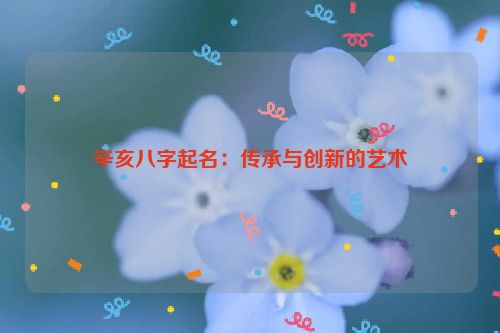 辛亥八字起名：传承与创新的艺术