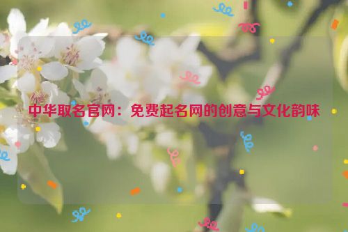 中华取名官网：免费起名网的创意与文化韵味