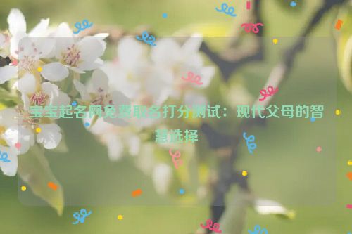 宝宝起名网免费取名打分测试：现代父母的智慧选择