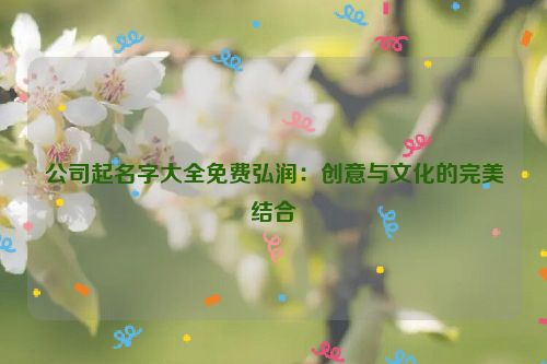 公司起名字大全免费弘润：创意与文化的完美结合