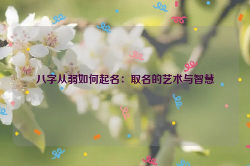 八字从弱如何起名：取名的艺术与智慧