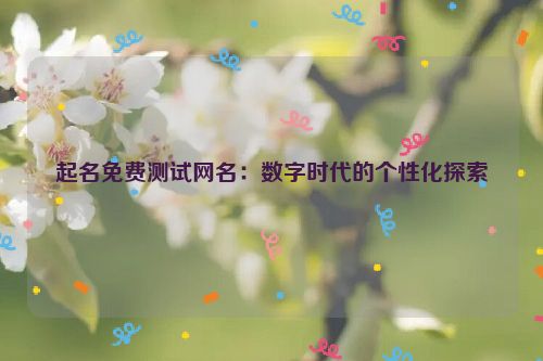 起名免费测试网名：数字时代的个性化探索