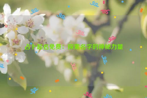 占卜起名免费：探索名字的神秘力量