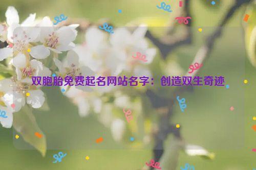 双胞胎免费起名网站名字：创造双生奇迹