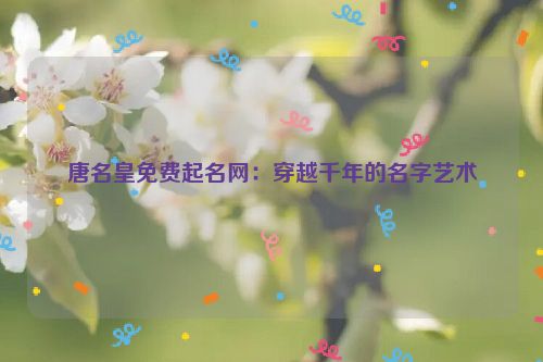 唐名皇免费起名网：穿越千年的名字艺术