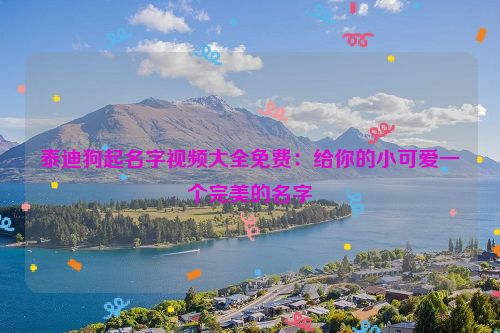 泰迪狗起名字视频大全免费：给你的小可爱一个完美的名字