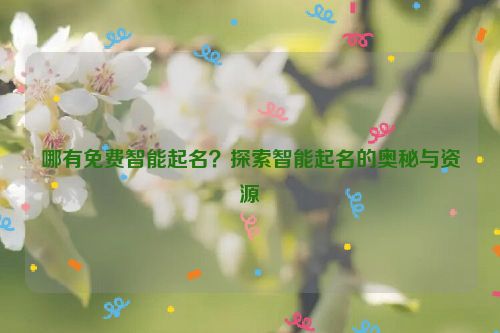 哪有免费智能起名？探索智能起名的奥秘与资源