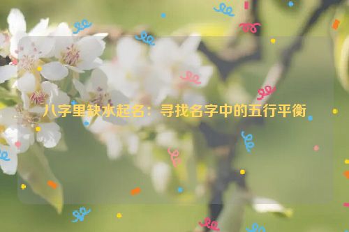 八字里缺水起名：寻找名字中的五行平衡