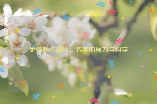 免费起名测评：名字的魔力与科学