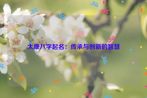 太康八字起名：传承与创新的智慧