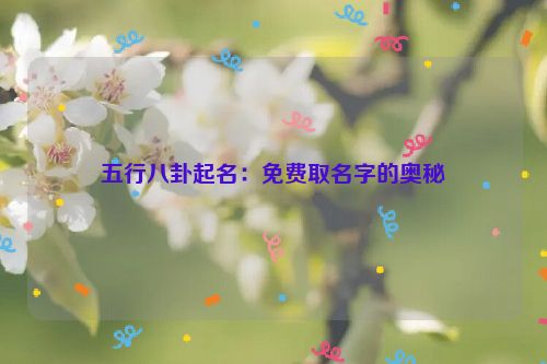 五行八卦起名：免费取名字的奥秘