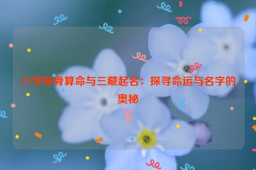 八字称骨算命与三藏起名：探寻命运与名字的奥秘