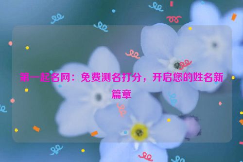第一起名网：免费测名打分，开启您的姓名新篇章