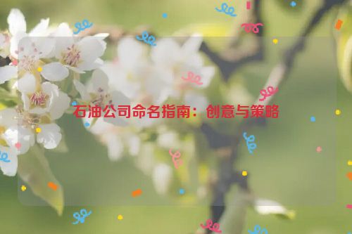 石油公司命名指南：创意与策略