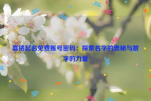 嘉铭起名免费账号密码：探索名字的奥秘与数字的力量