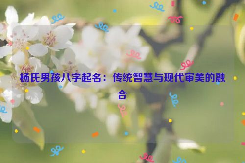 杨氏男孩八字起名：传统智慧与现代审美的融合