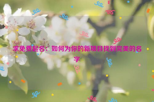 求免费起名：如何为你的新项目找到完美的名字