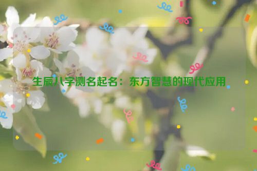 生辰八字测名起名：东方智慧的现代应用