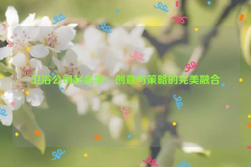 卫浴公司起名字：创意与策略的完美融合