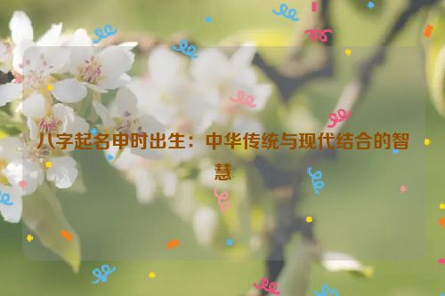 八字起名申时出生：中华传统与现代结合的智慧