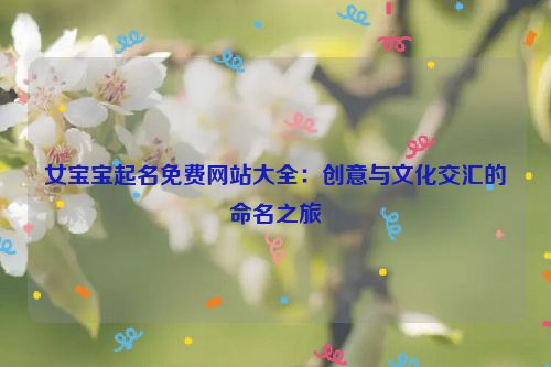 女宝宝起名免费网站大全：创意与文化交汇的命名之旅