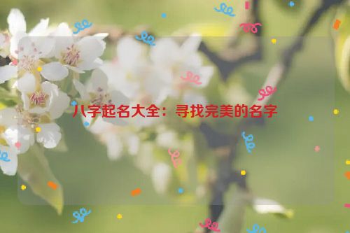 八字起名大全：寻找完美的名字