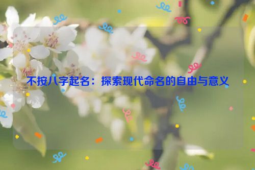 不按八字起名：探索现代命名的自由与意义