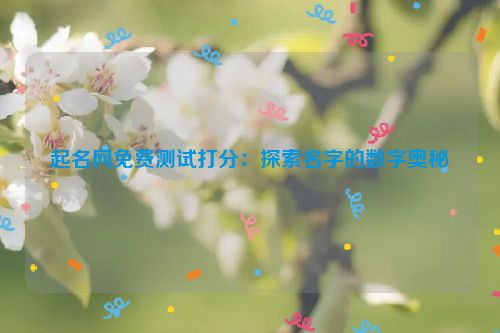 起名网免费测试打分：探索名字的数字奥秘