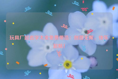 玩具厂起名字大全免费带浩：创意无限，快乐起航！