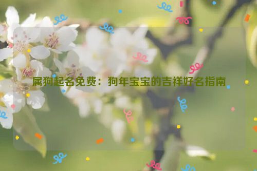 属狗起名免费：狗年宝宝的吉祥好名指南