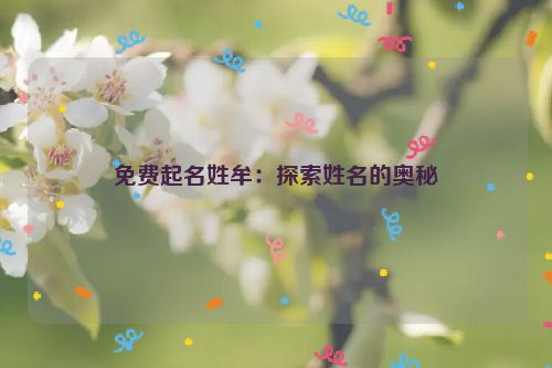 免费起名姓牟：探索姓名的奥秘