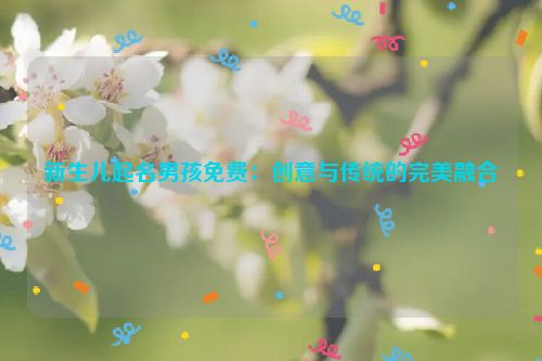 新生儿起名男孩免费：创意与传统的完美融合