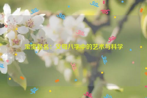 宝宝起名：父母八字中的艺术与科学