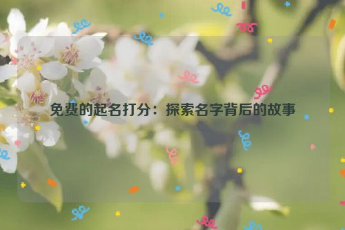 免费的起名打分：探索名字背后的故事