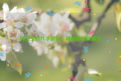 网上生辰八字起名：神秘的科技融合