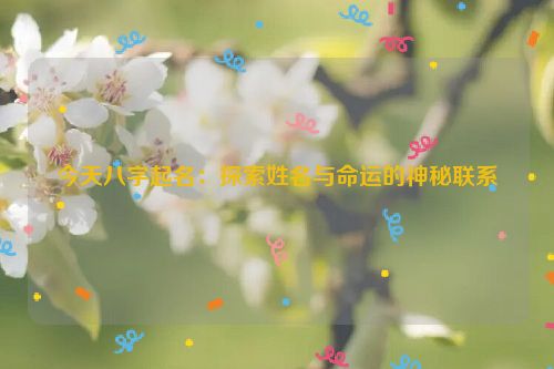 今天八字起名：探索姓名与命运的神秘联系