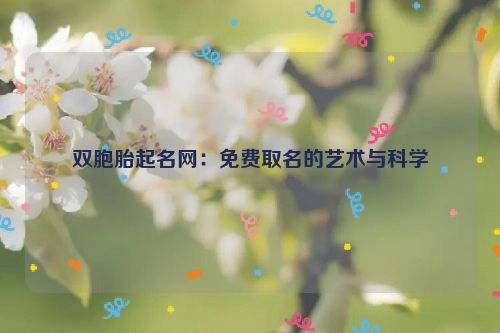 双胞胎起名网：免费取名的艺术与科学