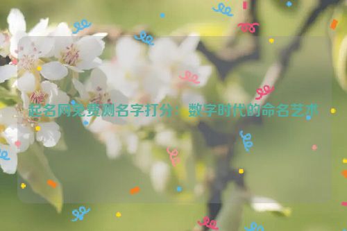 起名网免费测名字打分：数字时代的命名艺术