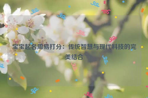 宝宝起名周易打分：传统智慧与现代科技的完美结合