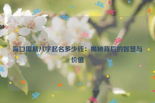 海口周易八字起名多少钱：揭秘背后的智慧与价值