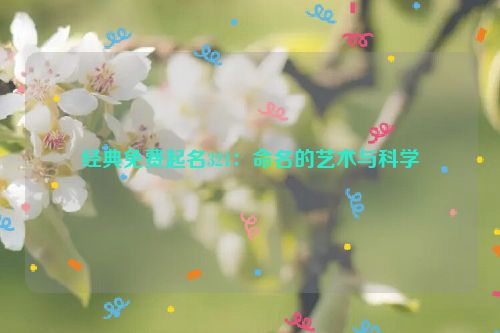 经典免费起名321：命名的艺术与科学