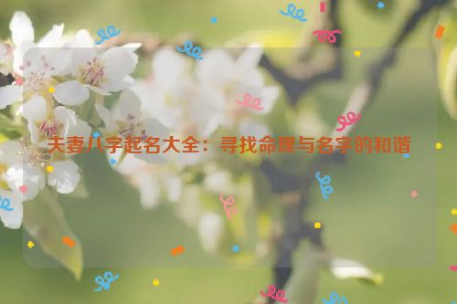 夫妻八字起名大全：寻找命理与名字的和谐