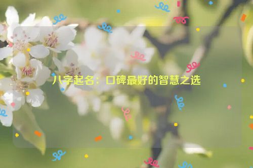 八字起名：口碑最好的智慧之选