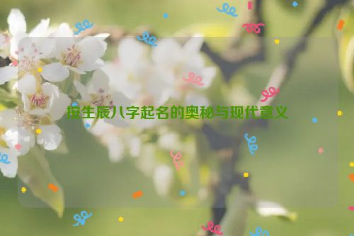 按生辰八字起名的奥秘与现代意义